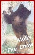 [Molly]