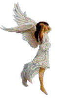 [angel]