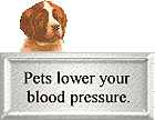 [blood pressure]