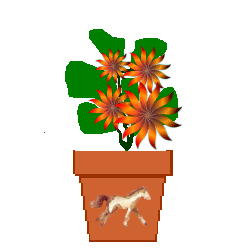 The Site Fights Spirit Flowers