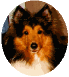 simbatran.gif (7080 bytes)
