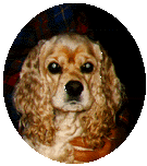 winnie03.gif (12815 bytes)