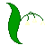 lily of the valley