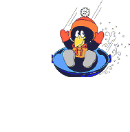 penguin