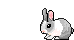 BUNNY