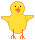 Little Chicks