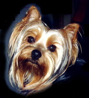Alaska Princess Amy