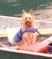 Captain Bub aboard the "Budarky Boat"