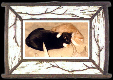 Kitties