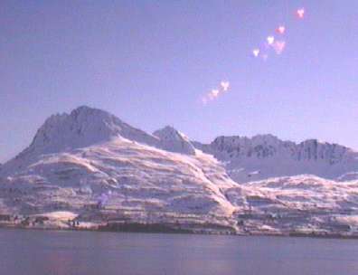 Valdez