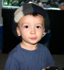 Gryphon 2007