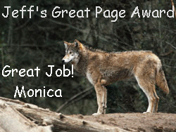 Apply for Jeff's award!