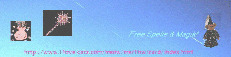 Merlin Banner (201133 bytes)