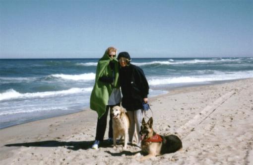 /user/beachdogs.JPG
