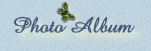 Photo Album