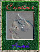 The Catcellence Award