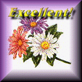 Excellent Site Award