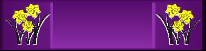 blank banner