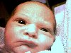Jasper Daniel Risenhoover