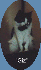 Gizmo