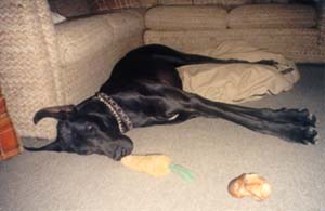Triton Sleepy