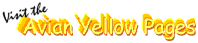Yellow Pages