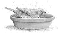 bath