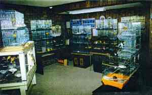 Ninas birdroom