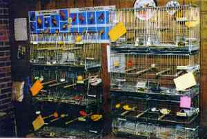 Another angle of her birdroom