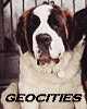 GEOCITIES