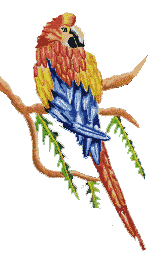 Virtural Parrot