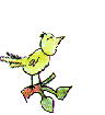 bird singing