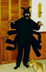 spider