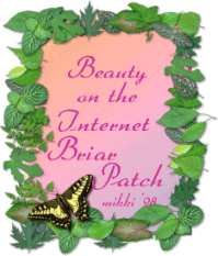 Beauty on The Internet