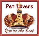 You're The Best Award