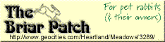 Banner 2 - 234 x 60