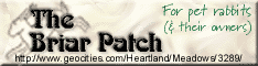Banner 2 - 234 x 60