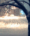 Evening Snow