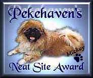 Mickey Award