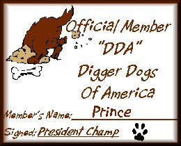 Prince certificate