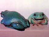 Ladelada and Der Glumph
