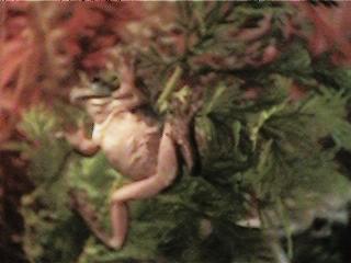 Walking on Glass