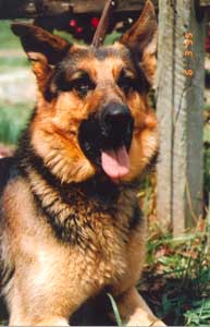 Jassu's Dad Ponza