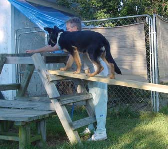 Walkin' the plank