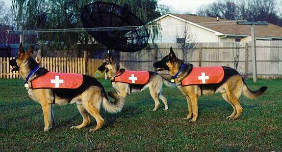 SAR Mission