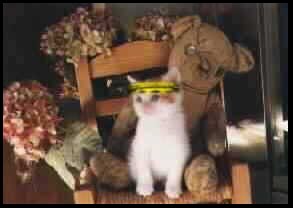 TriffanKat's Baby Pic