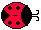 [Ladybug]