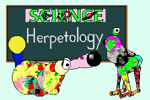 Honker Studies Biology