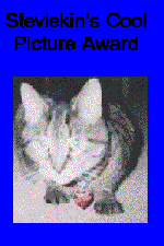 Cool Picture Award
