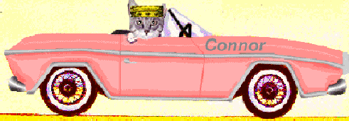 Connor in his CLAW crown